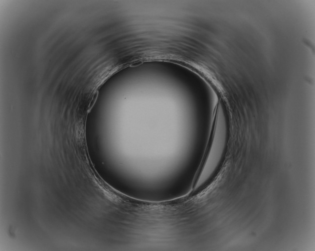 X0000091490897200709131828