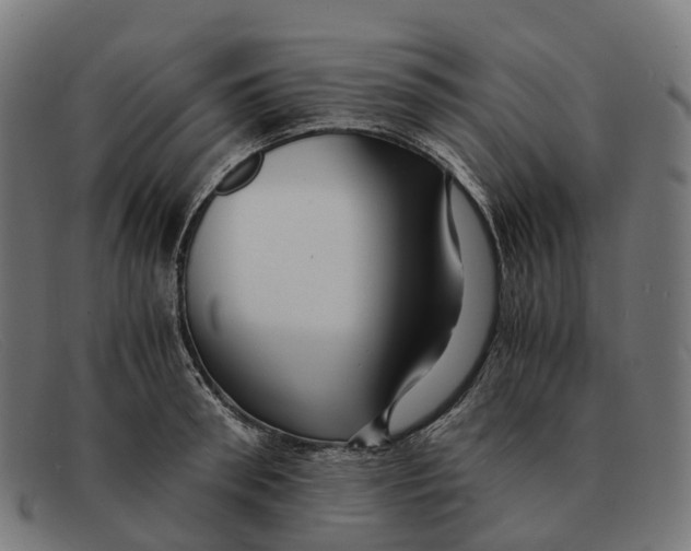 X0000091490898200709131828