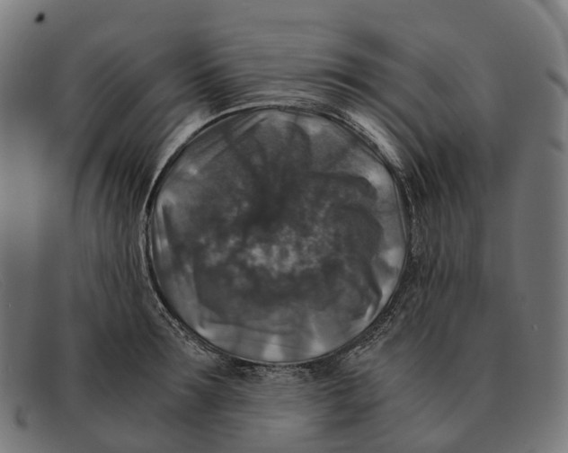 X0000091490899200709131828