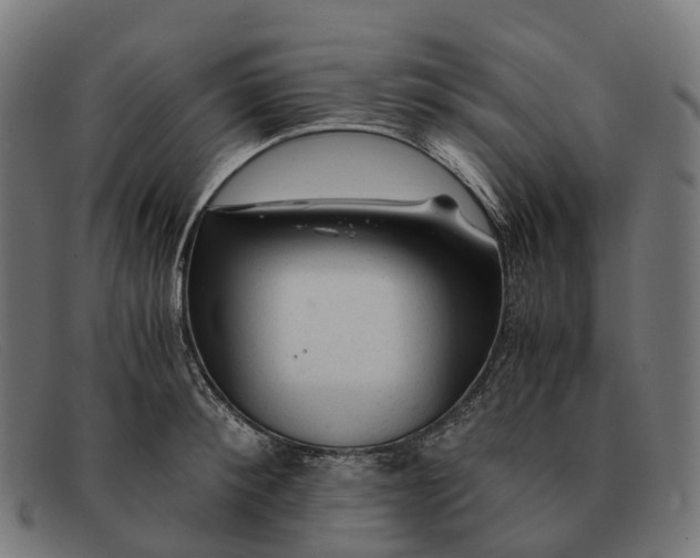 X0000091490900200709131828