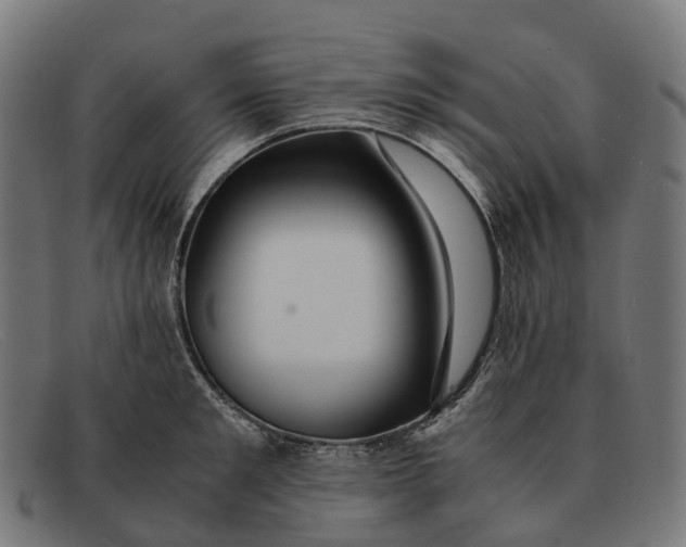 X0000091490901200709131828