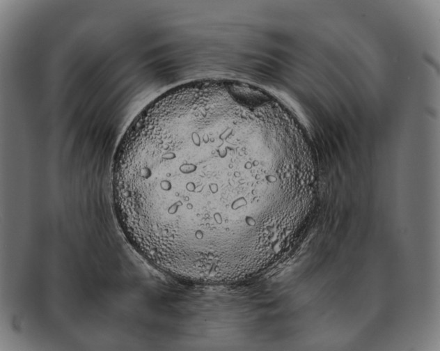 X0000091490903200709131828