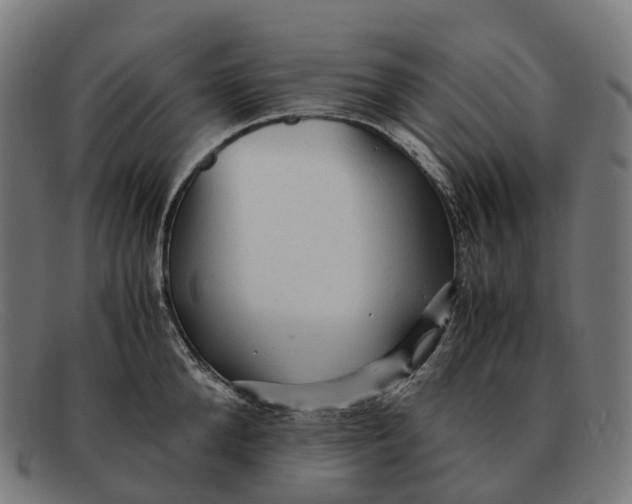 X0000091490904200709131828
