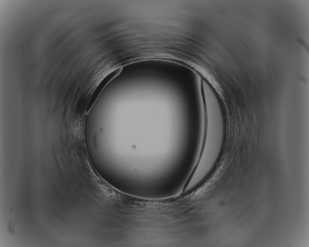 X0000091490905200709131828
