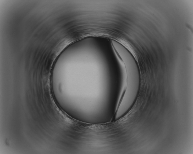 X0000091490906200709131828
