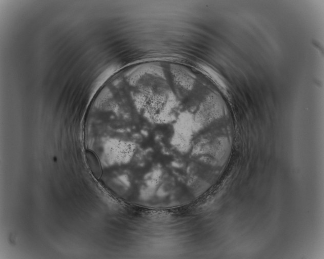 X0000091490907200709131828