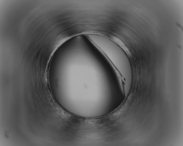 X0000091490908200709131828