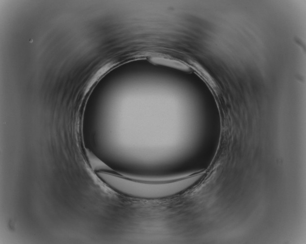 X0000091490909200709131828