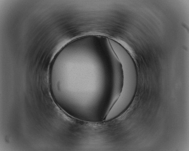 X0000091490910200709131828