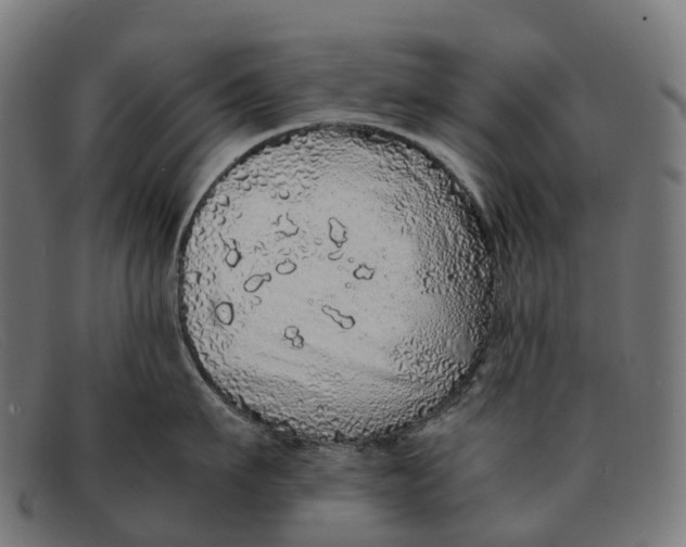 X0000091490911200709131828