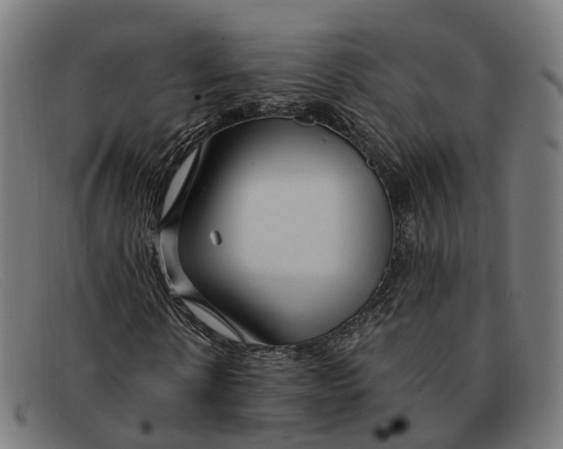 X0000091490914200709131827