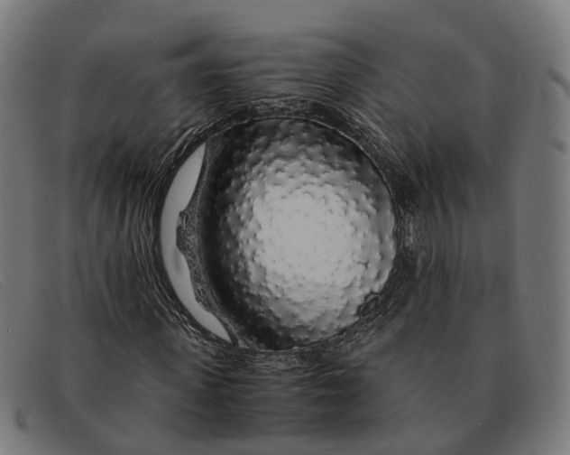 X0000091490915200709131827