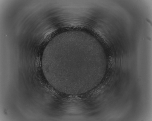 X0000091490918200709131827
