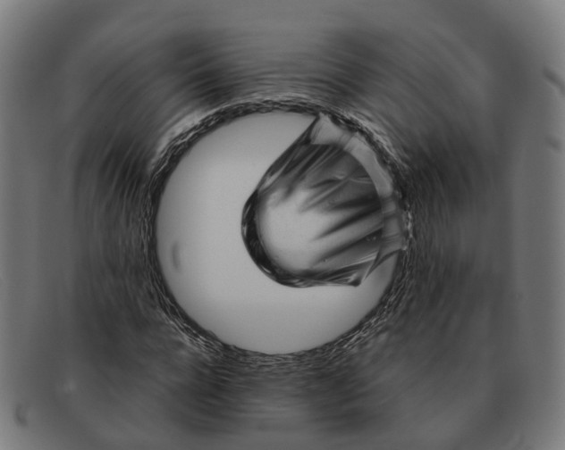X0000091490920200709131827