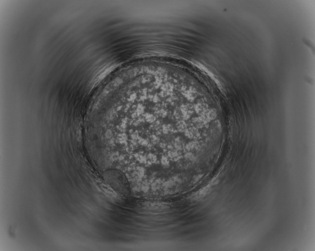 X0000091490921200709131827