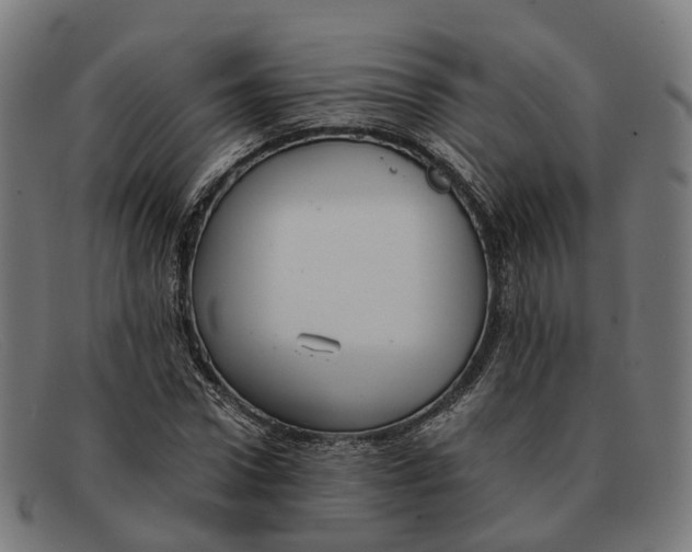 X0000091490922200709131827