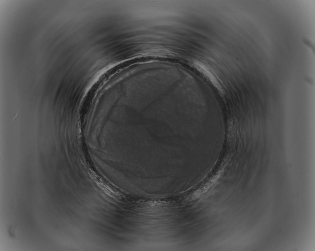X0000091490923200709131827
