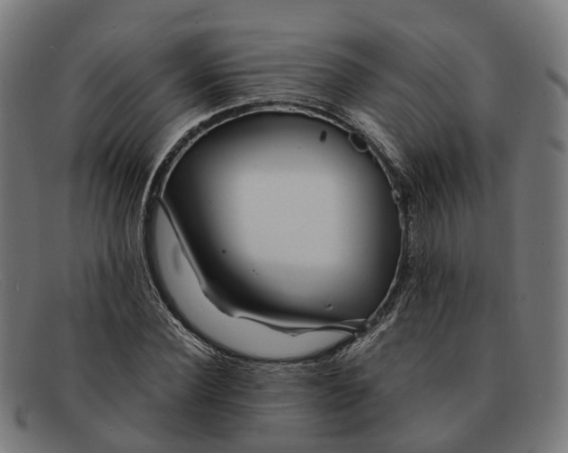 X0000091490924200709131827