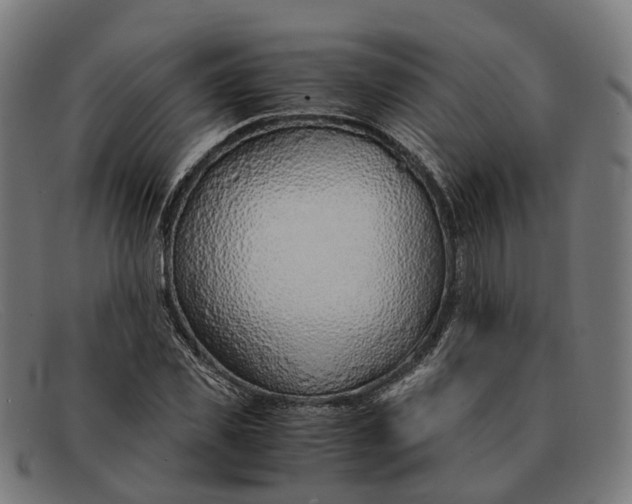 X0000091490925200709131827