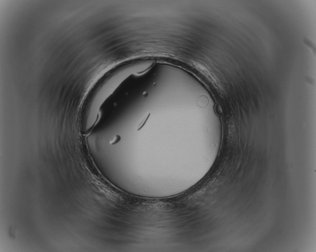 X0000091490926200709131827