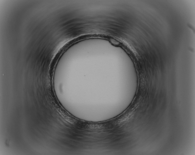 X0000091490927200709131827