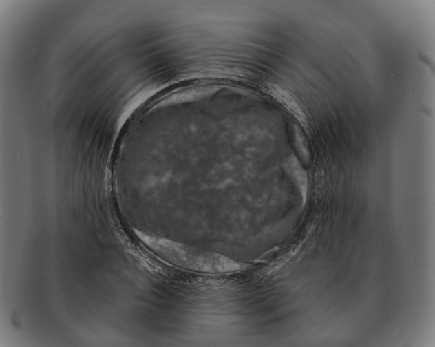 X0000091490928200709131828