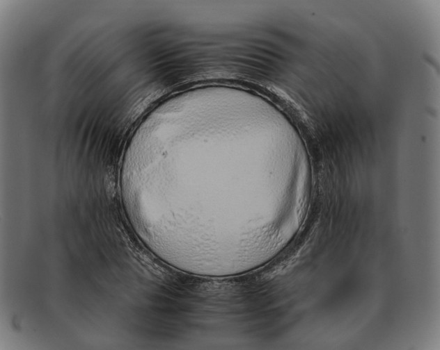 X0000091490929200709131828