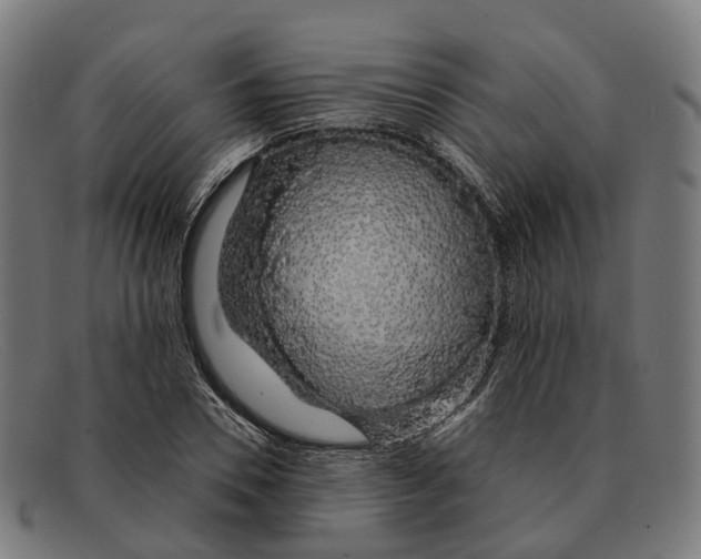 X0000091490930200709131828