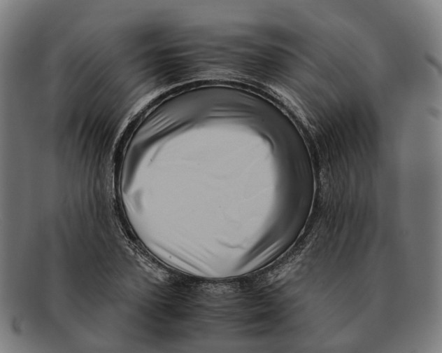 X0000091490931200709131828