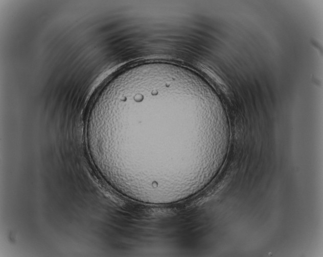 X0000091490933200709131828