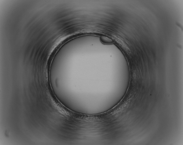X0000091490934200709131828