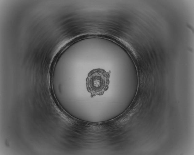 X0000091490935200709131828
