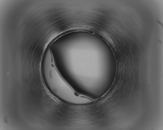 X0000091490936200709131828