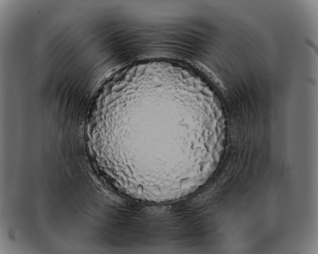 X0000091490937200709131828