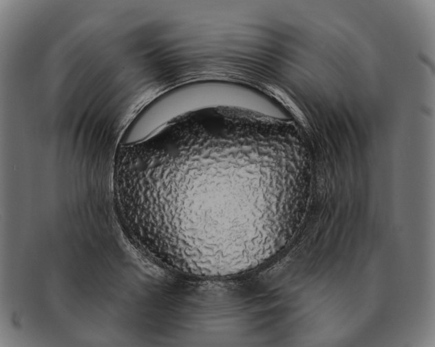 X0000091490938200709131828