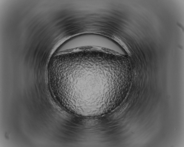 X0000091490939200709131828