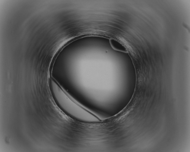 X0000091490940200709131828