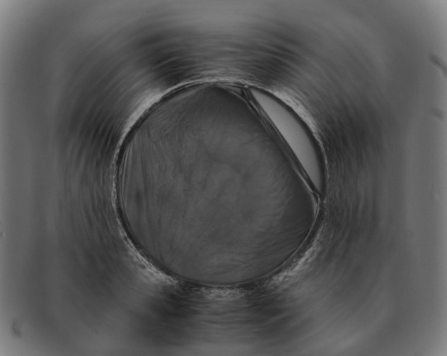 X0000091490941200709131828