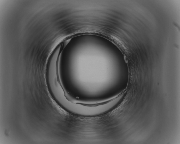 X0000091490942200709131828
