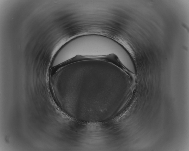 X0000091490944200709131828