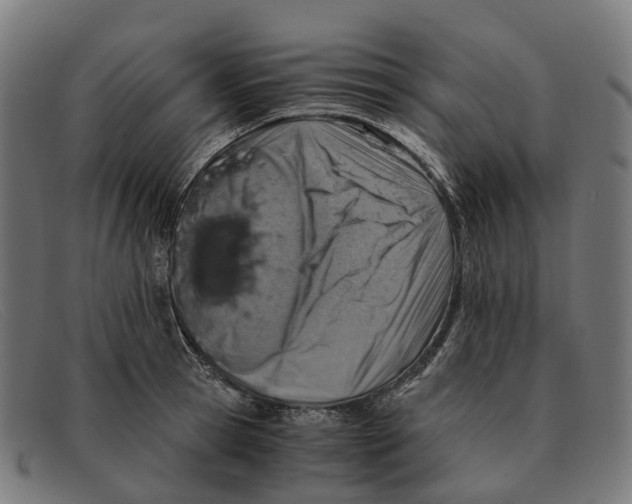 X0000091490945200709131828