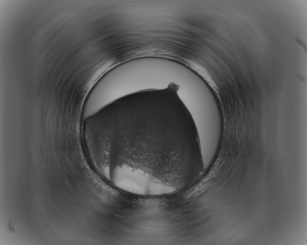 X0000091490946200709131828