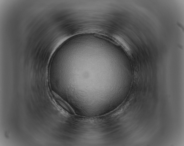 X0000091490948200709131828