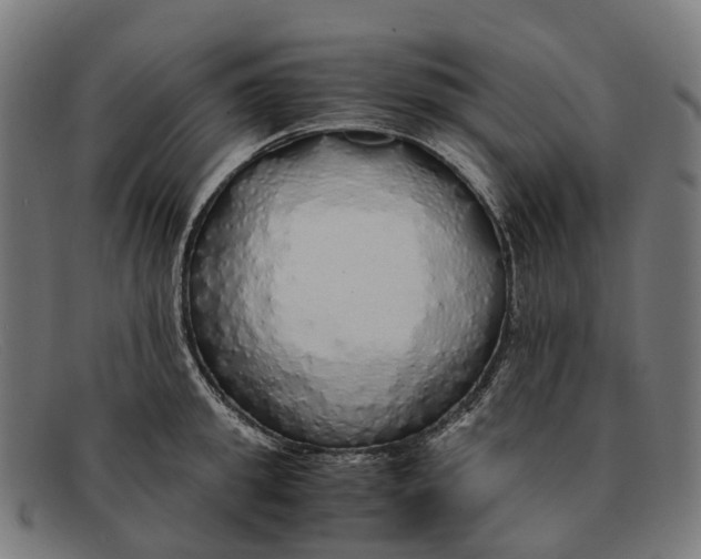 X0000091490949200709131828