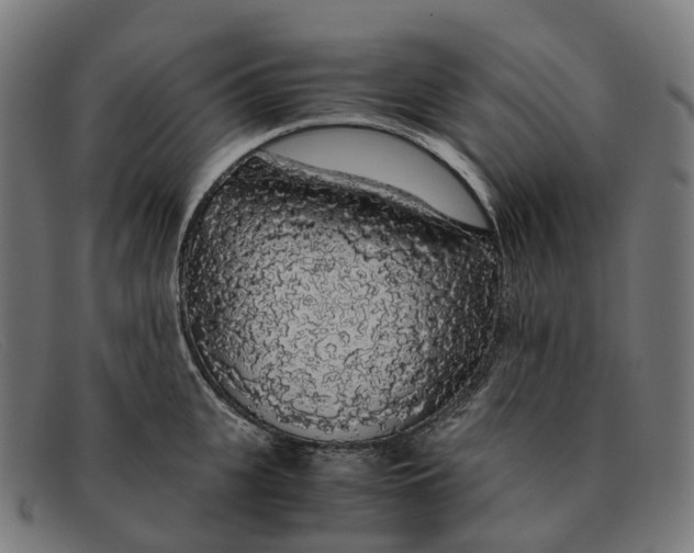 X0000091490951200709131828