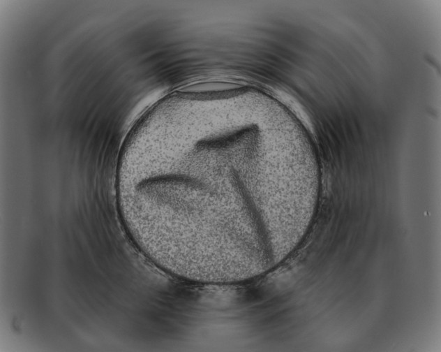 X0000091490954200709131828
