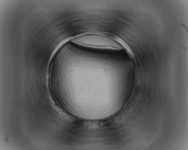 X0000091490955200709131828