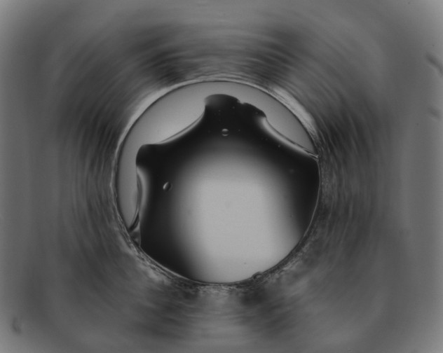 X0000091490956200709131828