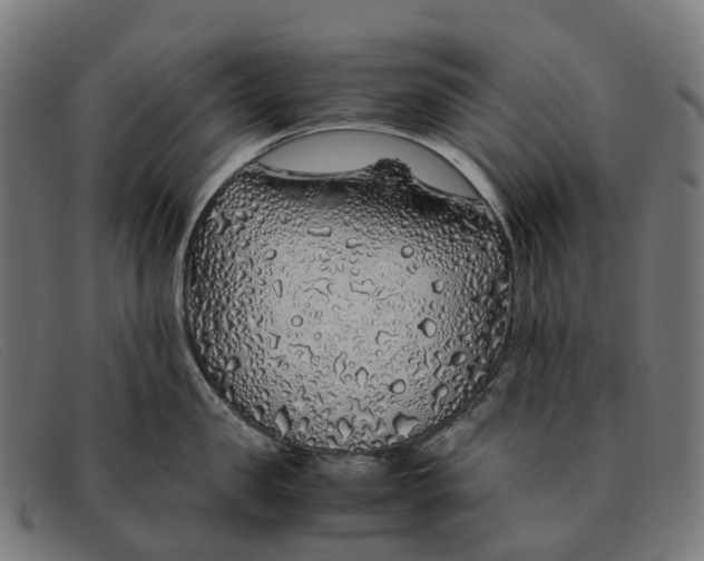 X0000091490957200709131828