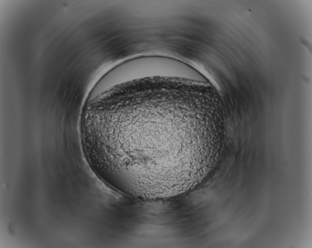X0000091490959200709131828